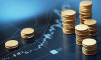 华业香料：2024年净利润2208